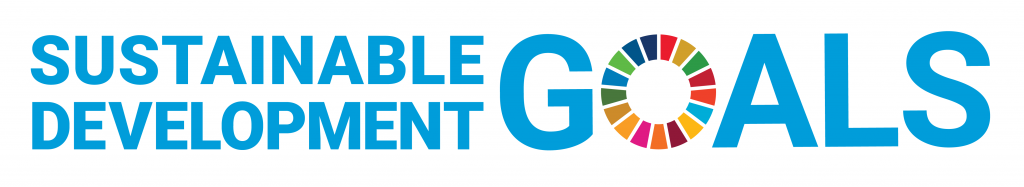 E SDG logo without UN emblem horizontal RGB 1024x187 1