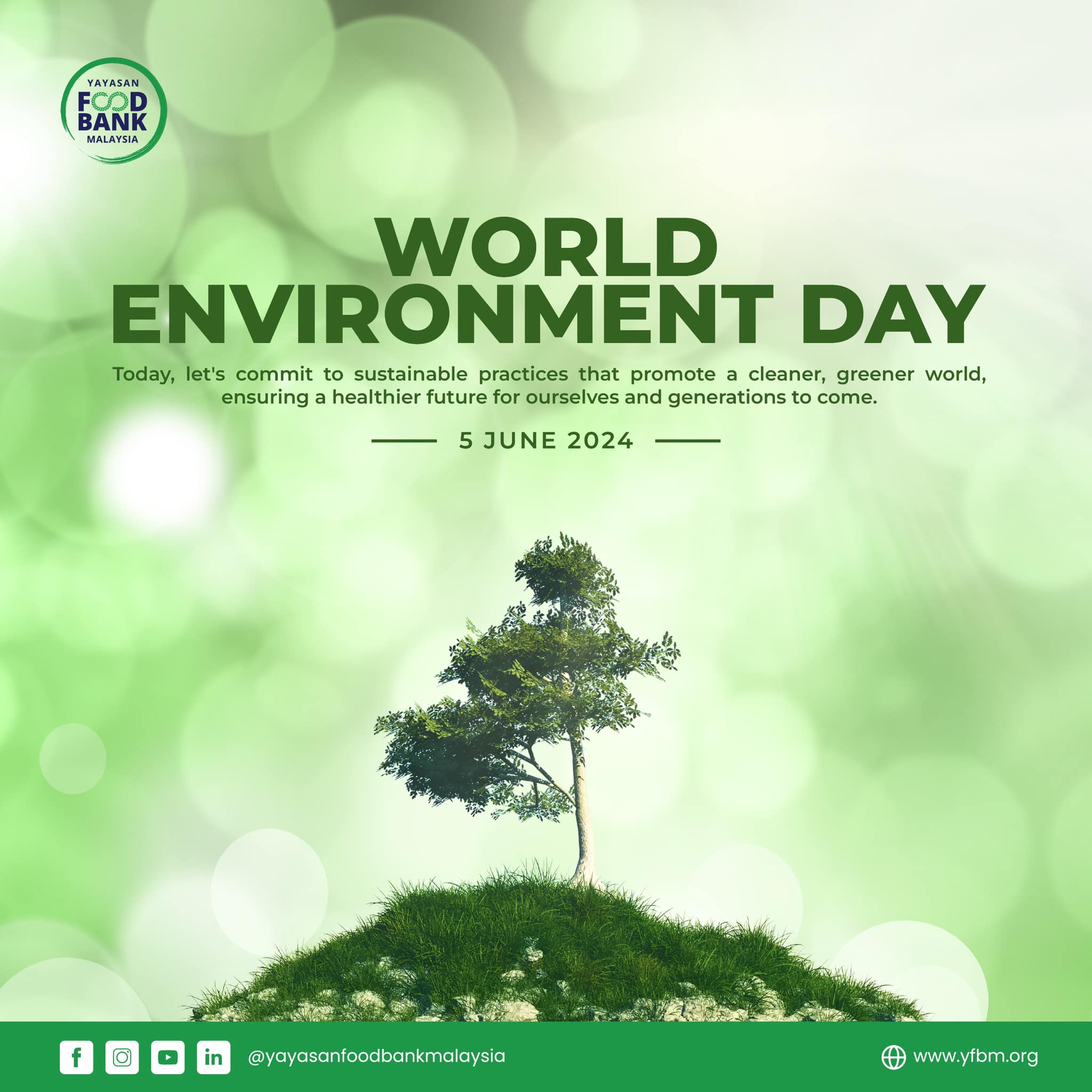 Read more about the article HAPPY WORLD ENVIRONMENT DAY 2024